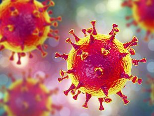 coronavirus-positiva-studentessa-del-liceo-rosina-salvo-di-trapani