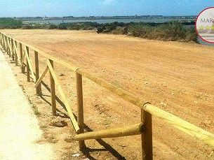 meetup-marsala-5-stelle-chi-ha-catturato-la-lupa