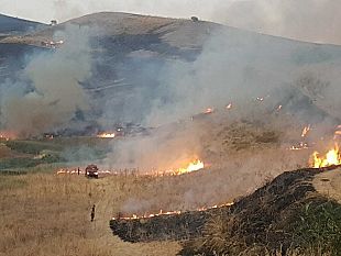 salemi-grosso-incendio-oltre-20-ettari-sono-andati-in-fumo-infatti-nelle-contrade-di-sinagia-e-polizo