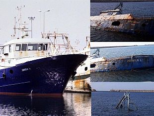 affondamento-del-daniela-l-silenzio-del-governo-tumbiolo-scrive-al-presidente-mattarella