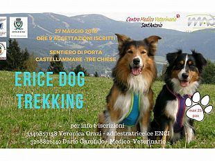 erice-dog-trekking-come-unire-la-passione-per-la-natura-e-lamore-per-il-proprio-cane