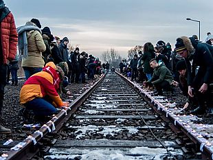 lelzeviro-di-bonagiuso-per-non-dimenticare-la-memoria