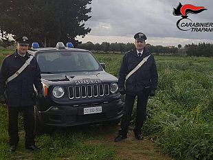 locogrande-controlli-dei-carabinieri-denunciate-5-persone