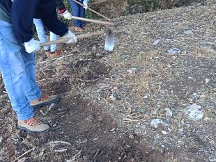 ars-stabilizzazione-degli-ultimi-lavoratori-pip