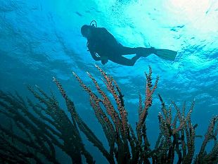 tragedia-in-mare-morto-un-sub-trapanese-durante-unimmersione