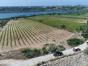 sabato-si-corre-la-seconda-edizione-del-trofeo-cave-di-cusa-dodici-ore-di-regolarita-classica-nella-valle-del-belice