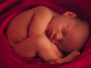 elena-di-pietra-pdf-la-vita-e-la-vita-difendila-cosi-concluse-il-suo-inno-alla-vita-madre-teresa-di-calcutta