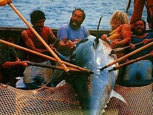 la-tonnara-di-favignana-richiude-i-battenti-per-lazienda-castiglione-e-la-regione-la-colpa-e-del-mipaaft