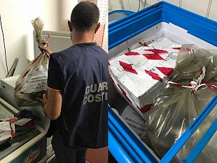 tre-fontane-la-guardia-costiera-sequestra-prodotti-ittici-sanzioni-per-13mila-euro