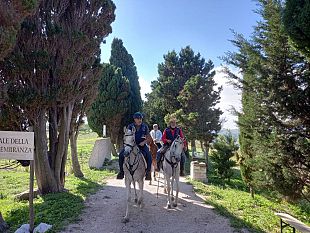 alla-scoperta-del-territorio-trapanese-a-cavallo-un-viaggio-tra-storia-e-natura