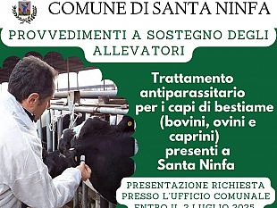 santa-ninfa-sostiene-gli-allevatori-con-trattamenti-antiparassitari-gratuiti-per-bovini-ovini-e-caprini