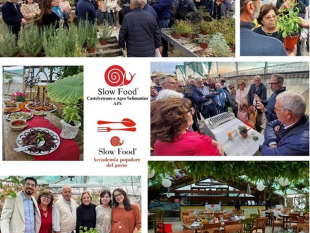 parte-laccademia-popolare-del-gusto-organizzata-dallassociazione-slow-food-castelvetrano-e-agroselinuntino