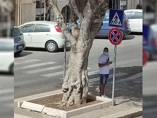 felice-evacuo-verso-il-ritorno-al-trapani