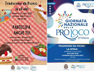 tradizione-da-picnic-la-sfida-una-giornata-allaria-aperta-tra-gusto-e-competizione-a-vita