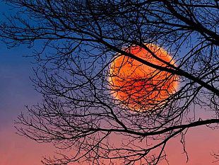 ultime-della-sera-occhi-puntati-verso-il-cielo-arriva-la-luna-del-cacciatore