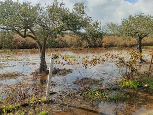 entro-una-settimana-lintervento-per-sistemare-perdita-di-acqua-nel-tratto-mazarese-dalla-condotta-di-bresciana