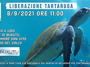 liberazione-tartaruga-presso-il-litorale-san-vito-a-mazara-del-vallo
