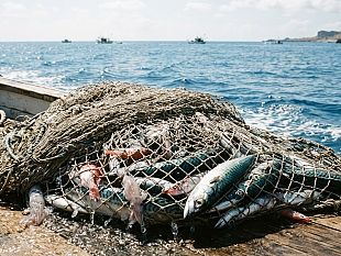 ciclone-harry-pubblicato-lelenco-dei-ristori-per-il-settore-pesca-in-sicilia