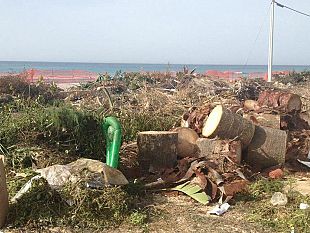 video-tonnarella-nella-terra-di-nessuno-cresce-la-discarica-abusiva