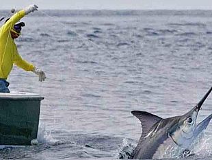 palermo-si-e-riunito-il-consiglio-regionale-della-pesca