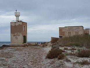 video-a-capofeto-le-associazioni-si-mobilitano-per-la-tutela-della-zona-i-pareri-degli-esperti-entomologi