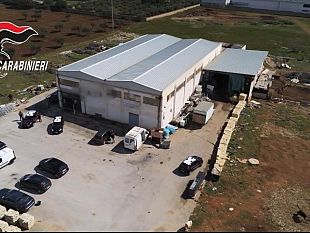 castelvetrano-giambalvo-e-siracusa-ulteriormente-denunciati-per-maltrattamento-di-animali-e-altri-reati