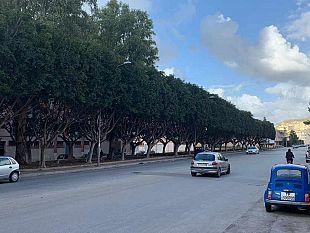 video-lo-spazio-cittadino-rifiuti-e-spazio-verde-il-fil-rouge-che-vale-anche-in-via-tenente-alberti