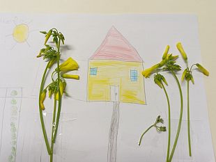 mazara-gli-studenti-dellic-grassa-quinci-partecipano-al-progetto-impariamo-allaria-aperta