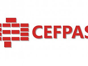 caltanissetta-cefpas-corso-sui-disturbi-del-neurosviluppo