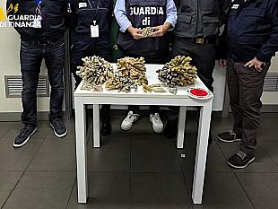 sequestrati-6-chili-di-corallo-in-aeroporto-sanzione-da-5mila-euro-a-un-palermitano