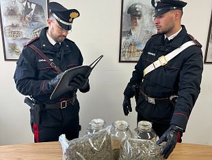 blitz-a-partinico-il-cane-nadia-fiuta-la-droga-scoperto-deposito-con-2-chili-di-marijuana