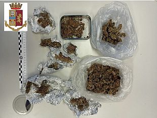 trapani/alcamo-la-polizia-arresta-pregiudicato-per-detenzione-ai-fini-di-spaccio-di-marijuana