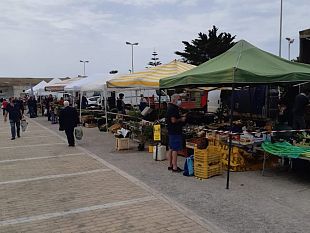 marsala-festivita-natalizie-il-mercato-del-contadino-anticipato-a-giovedi