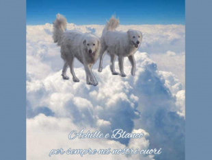 enpa-mazara-e-animali-nel-cuore-a-sei-mesi-dalla-scomparsa-di-achille-e-blanco-il-ricordo-e-piu-vivo-che-mai