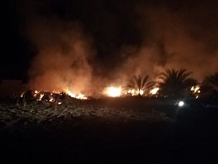 pantelleria-misure-antincedio-divieti-e-obblighi-da-rispettare-a-tutela-del-territorio