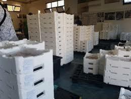 rapinano-un-furgone-di-prodotti-ittici-surgelati-e-trasportano-refurtiva-e-conducenti-a-palermo