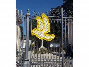 riapriamo-il-cimitero-di-trapani-inviata-richiesta-ufficiale-al-sindaco