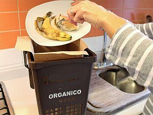 mazara-lunedi-riprende-la-raccolta-dei-rifiuti-organici