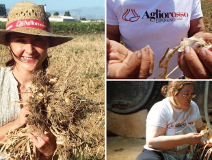un-percorso-alla-scoperta-delle-produzioni-di-eccellenza