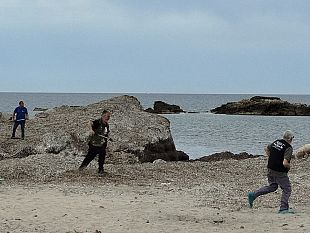 marsala-lotta-al-randagismo-prelevamento-di-alcuni-animali-aggressivi-presenti-sul-territorio