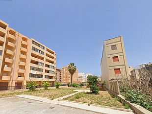 alberi-per-il-futuro-a-trapani-il-m5s-pianta-un-albero-in-ricordo-del-piccolo-alessandro