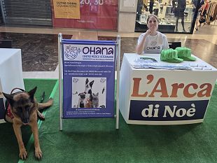 la-drssa-mazarese-anna-bologna-ospite-a-larca-di-noe-in-tour