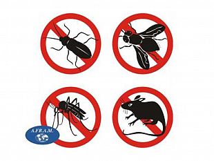 marsala-derattizzazione-e-disinfestazione-al-via-da-domani