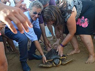 oltre-mille-presenze-per-la-liberazione-delle-due-tartarughe-caretta-caretta-dal-mare-di-triscina