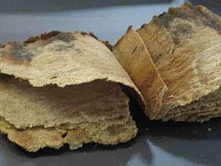 mazara-i-codici-venuti-dal-mare-sistemati-al-museo-del-satiro-danzante-i-due-importanti-reperti-archeologici