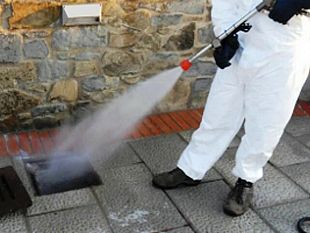 mazara-interventi-di-disinfestazione