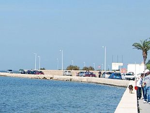 due-progetti-del-comune-per-la-promozione-e-tutela-dell-ambiente