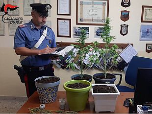 trapani/misiliscemi-coltivazione-di-marijuana-denunciato-un-52enne