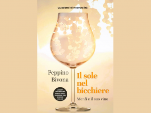 quaderno-di-neoruralita-il-sole-nel-bicchiere-menfi-e-il-suo-vino