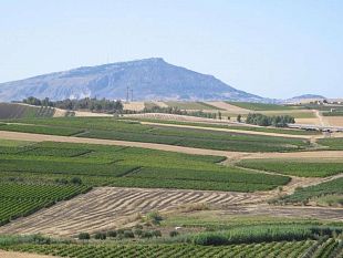 no-alla-creazione-di-un-deposito-di-rifiuti-radioattivi-a-fulgatore